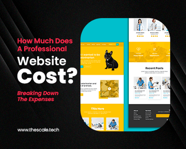How Much Does A Professional Website Cost? 