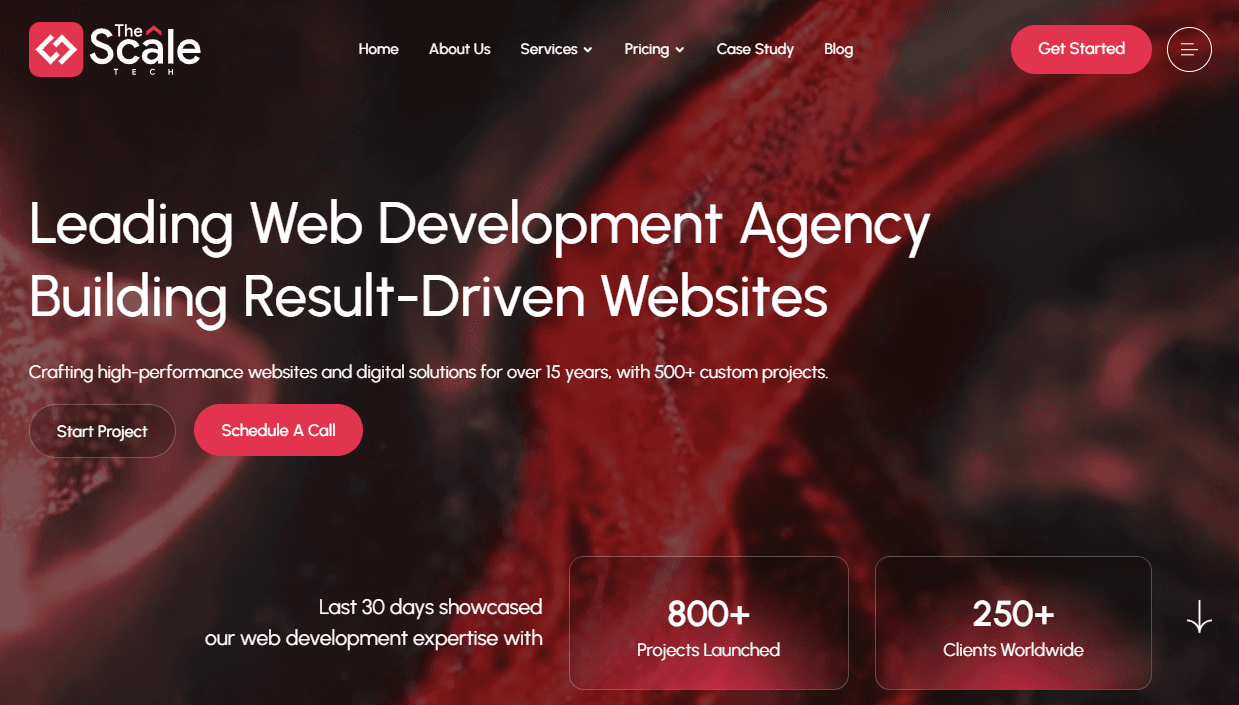 10 Best Web Development Companies In USA (2025)
